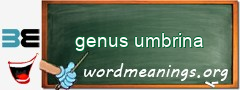 WordMeaning blackboard for genus umbrina